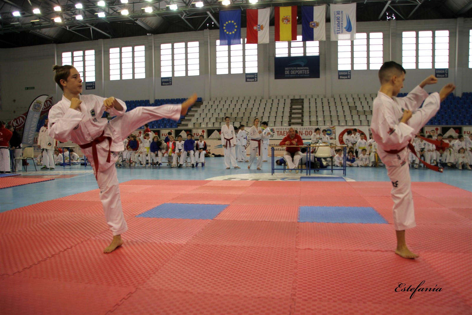 Taekwondo (185).jpg